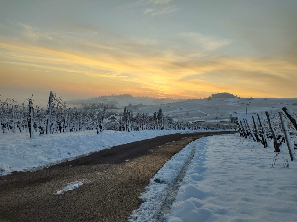 IMG_20231203_163009587_HDR